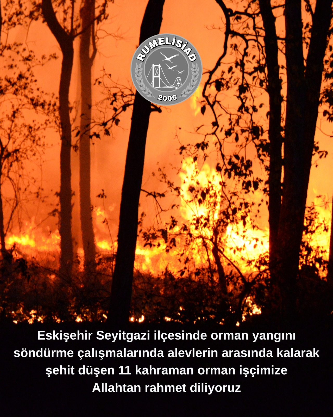 22.07.2025 SALI